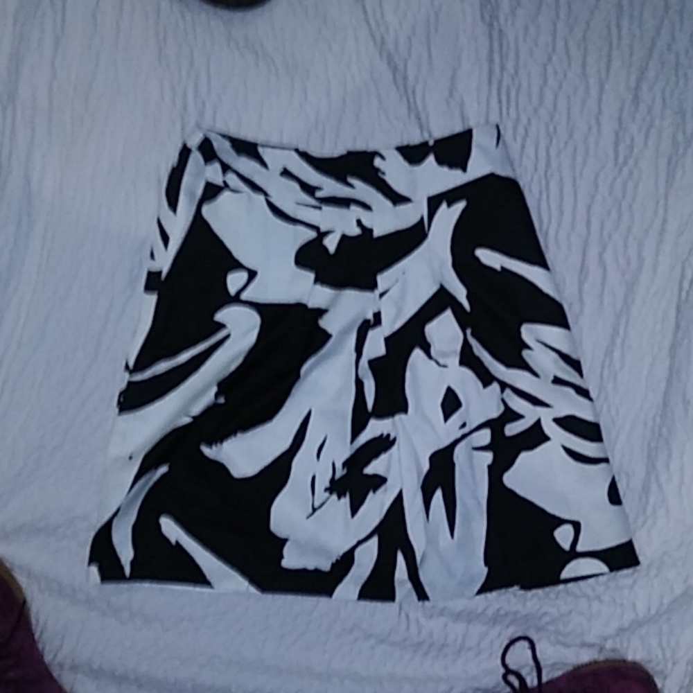 ANN TAYLOR skirt